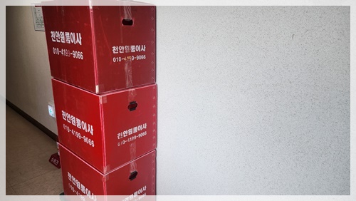 천안원룸이사M